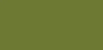 645 HG Zeytin Yesili HG Olive Green