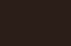 انتخاب رنگ هایگلاس ایرانی برند ای جی ای کد: brown-072