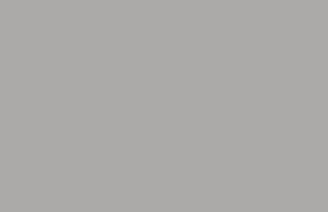 انتخاب رنگ هایگلاس ایرانی برند ای جی ای کد: silver-045