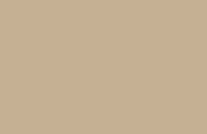 بهترین رنگ کاپوچینو هایگلاس ایرانی برای کابینت شیک و مدرن. کد: AGE Soft Touch Cappuccino 0614