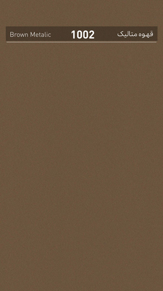 1002