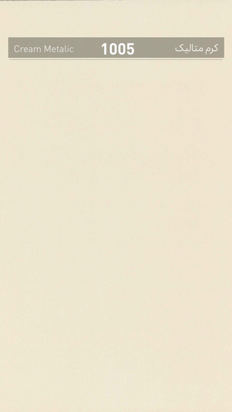 1005