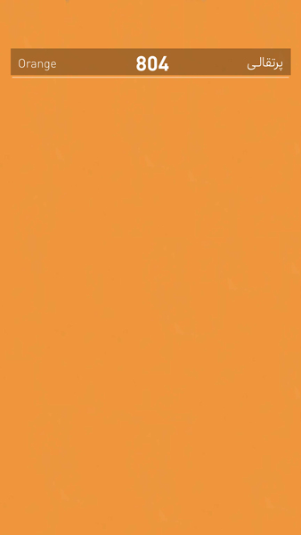804