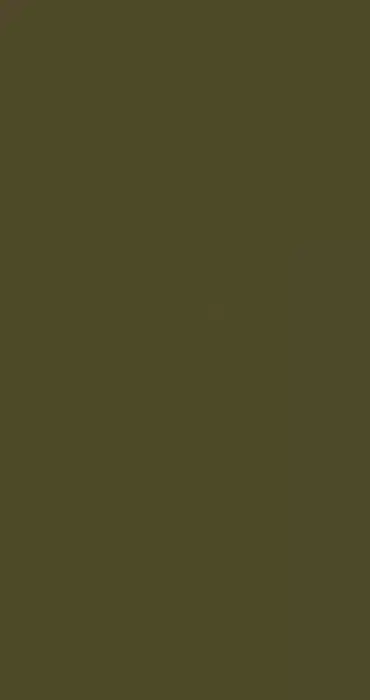 صفحه کابینت شرکتی سبز زیتونی عرض 60 سانتیمتر | کد: 1408